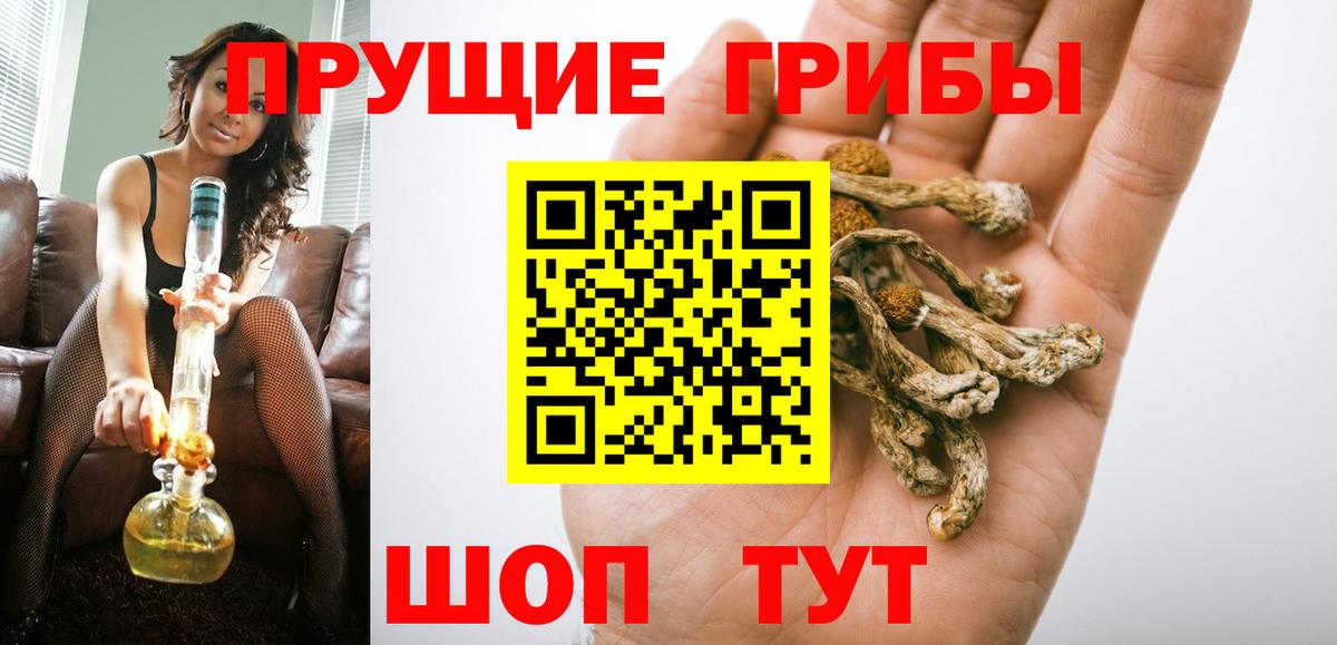 Галлюциногенные грибы Cubensis Великие Луки