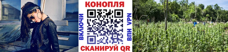 ОМГ ОМГ Великие Луки Марихуана AK-47